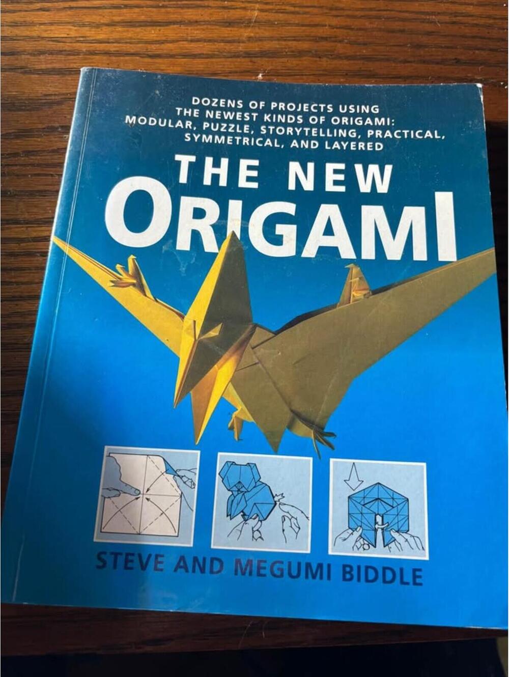 The new origami book
